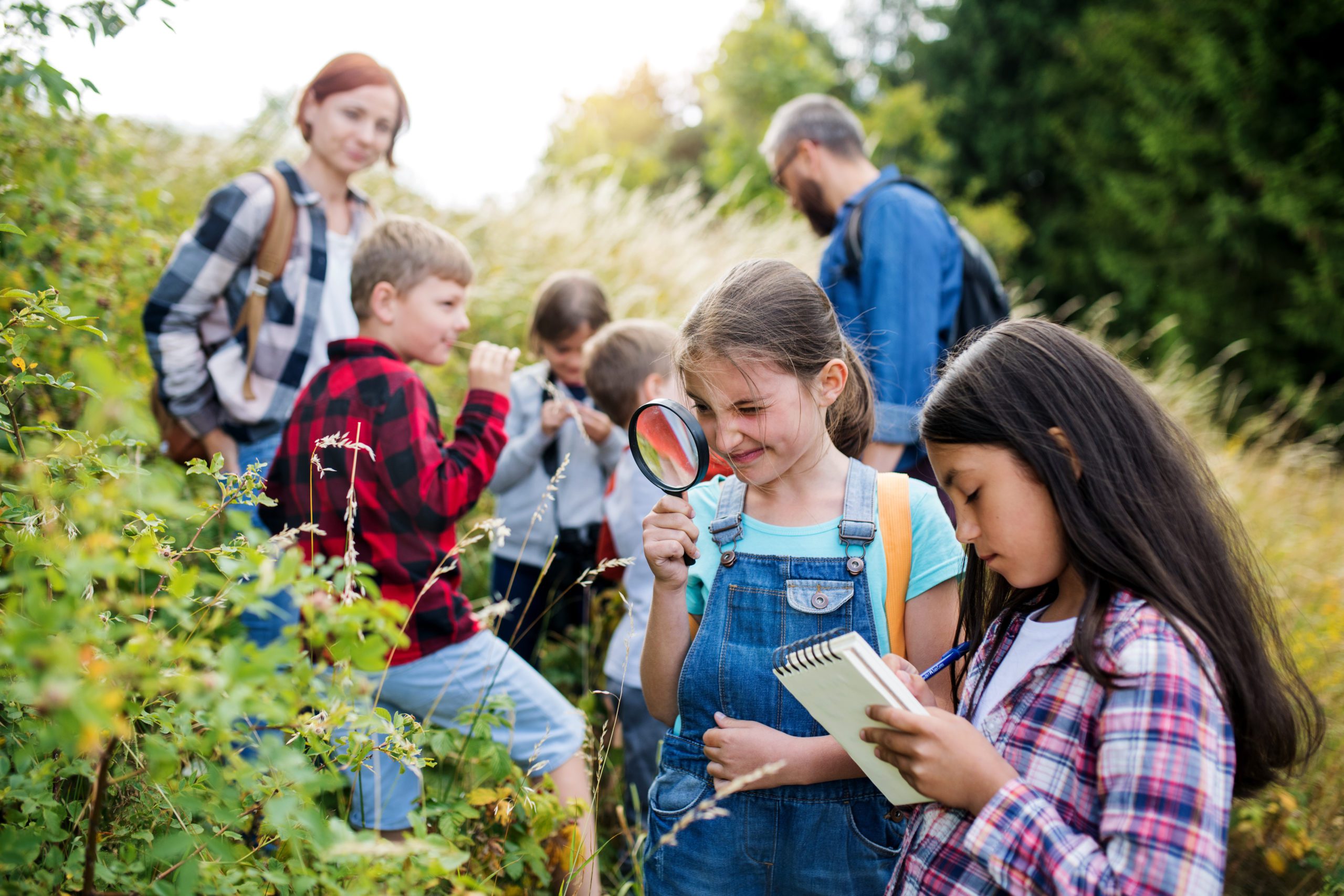 homeschool field trips